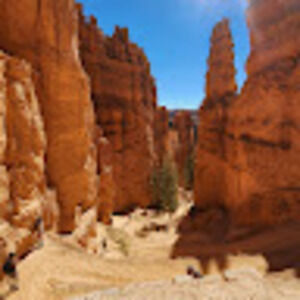 Meet your Posher, Kaari